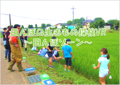 田んぼの生きもの探検VR田んぼゾーン