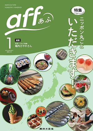 aff表紙