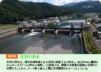 表
