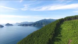 ヒノキ植林地と熊野灘