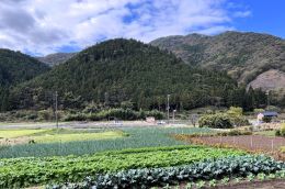 岩津地区のパッチワーク状の景観