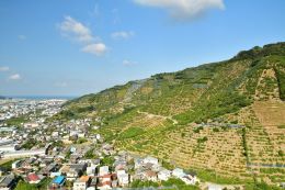 和歌山県有田・下津地域のランドスケープ