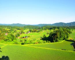 福頼棚田展望台からの風景（奥出雲町横田地域）
