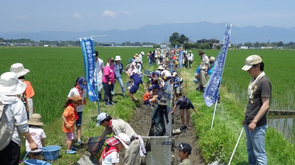 魚のゆりかご水田での生き物観察会の画像