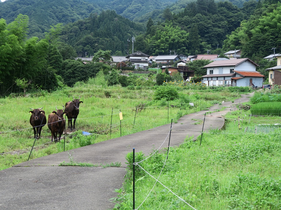 美方郡香美町村岡区熊波の風景画像