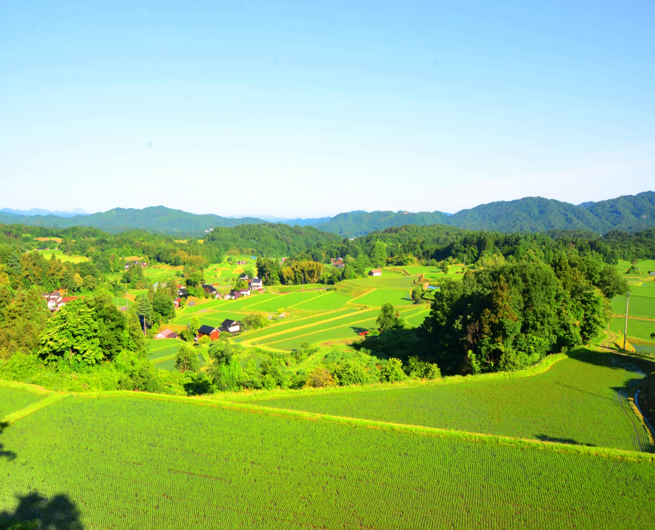 福頼棚田展望台からの風景（奥出雲町横田地域