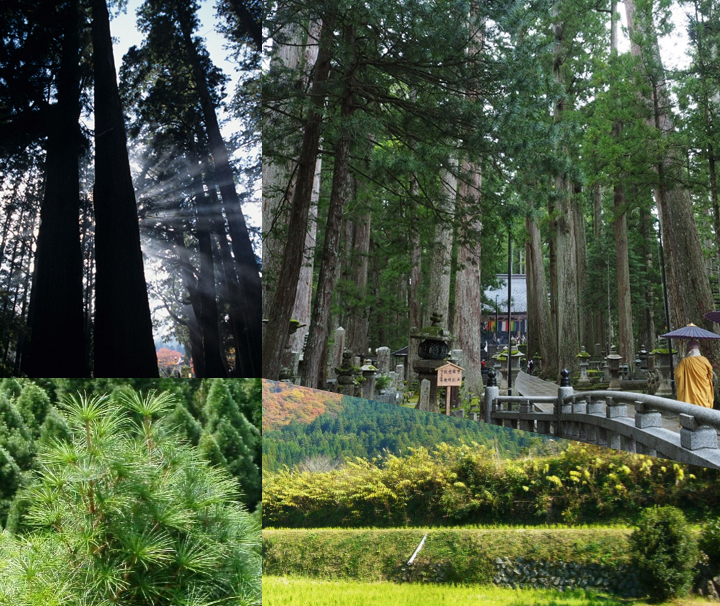 高野・花園・清水地域