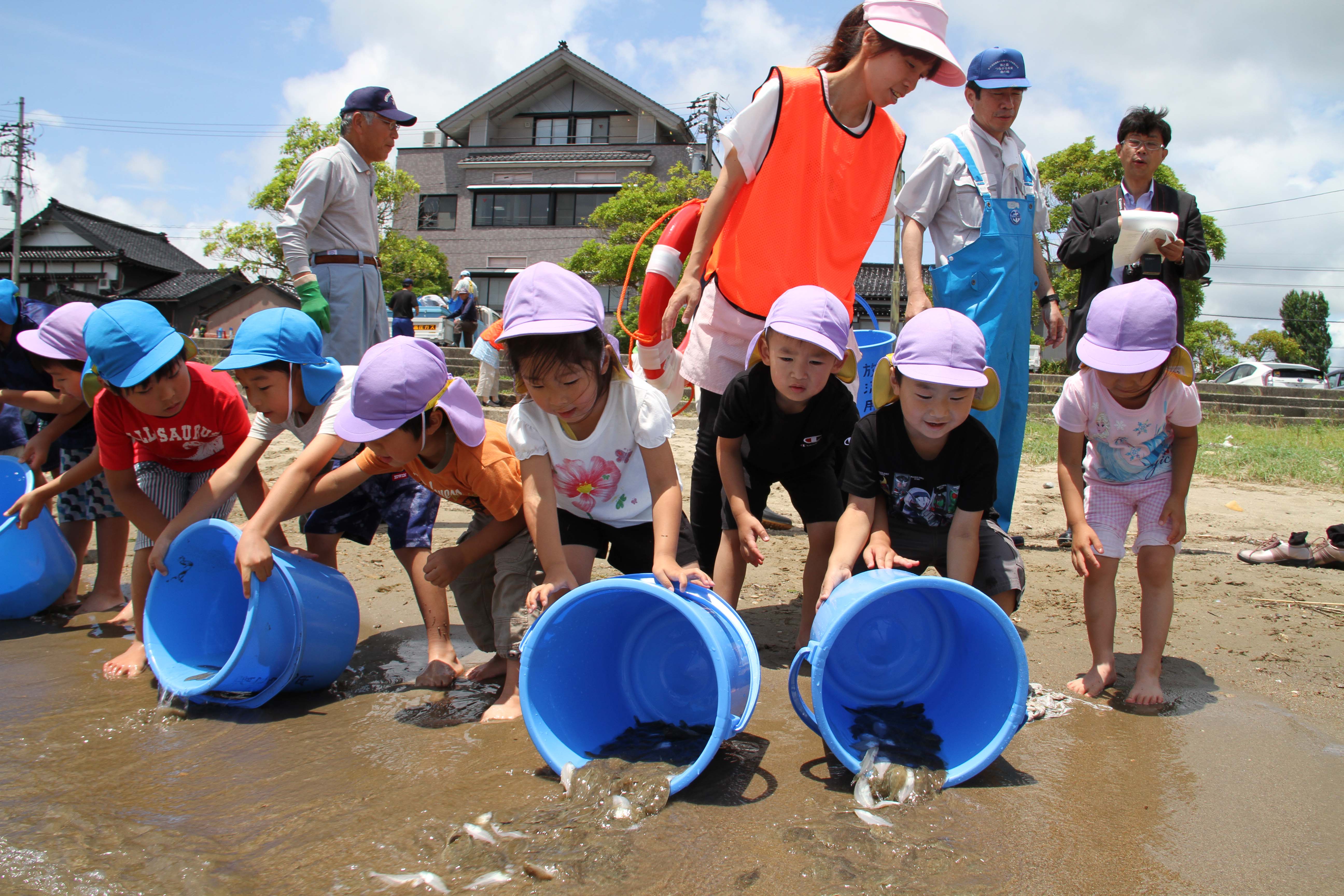 クロダイ・ヒラメの稚魚の放流
