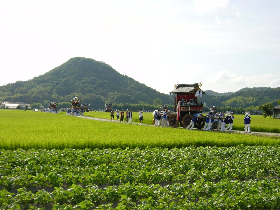 丹波篠山市黒大豆栽培の風景