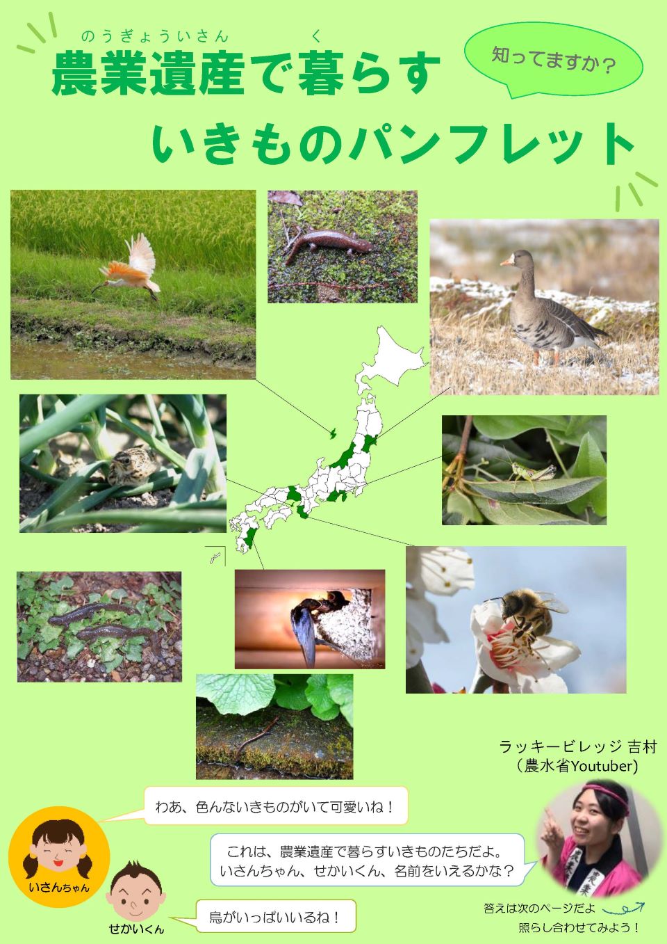 農業遺産で暮らすいきものパンフレットの表紙の画像