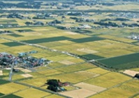 03_jirei02