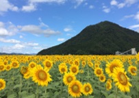 03_jirei07