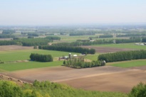 03_jirei01