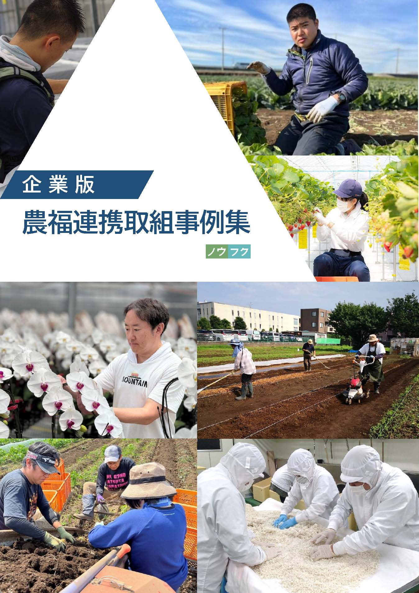 企業版農福連携取組事例集