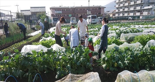 市民農園作業風景