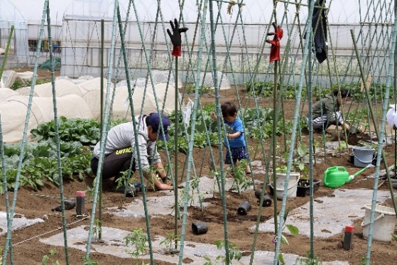 農作業する親子