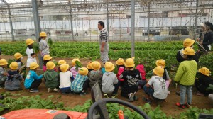 子どもが農家の説明を聞いているようす