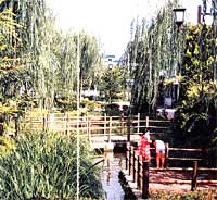 親水空間の形成