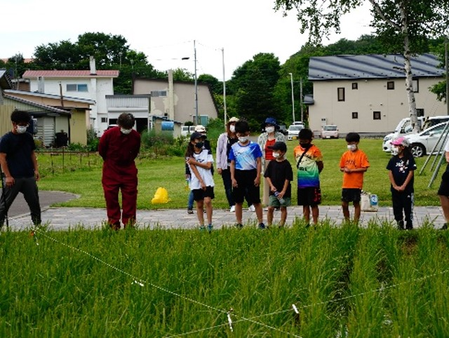 日本最北端の田んぼの学校　観察会