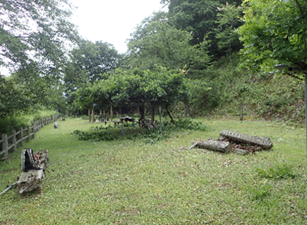 津風呂湖　夏の清掃活動