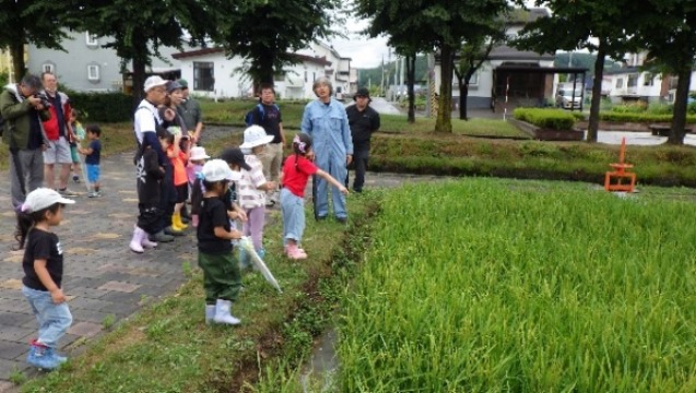 日本最東端の田んぼの学校 観察会