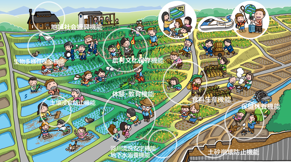 多面的機能のイメージ図