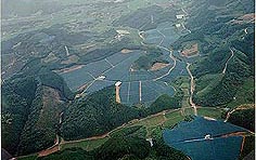 集団梨園