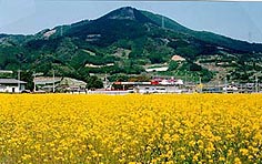 大野岳