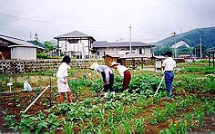 ふれあい農園