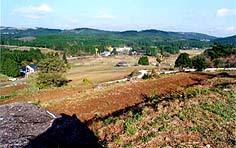 上場地区の全景