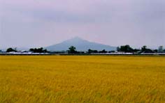 岩木山
