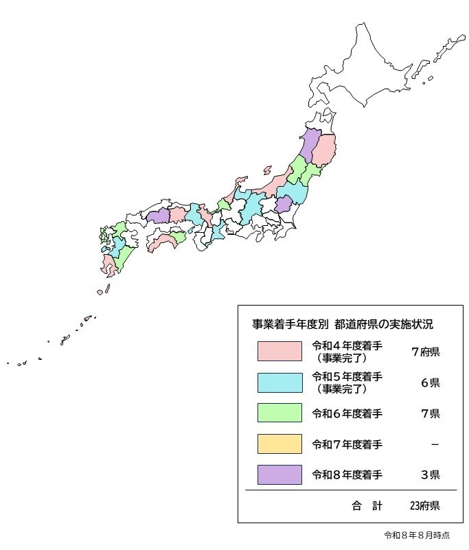 農村RMO形成伴走支援 都道府県実施状況