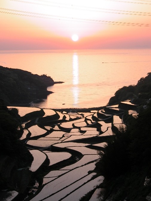 浜野浦の棚田風景