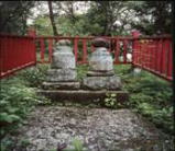 ウォーキングトレイル道路