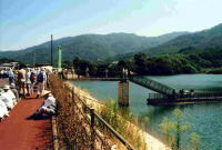 田園01