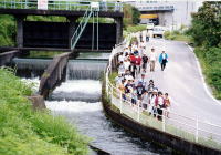 舟入川02