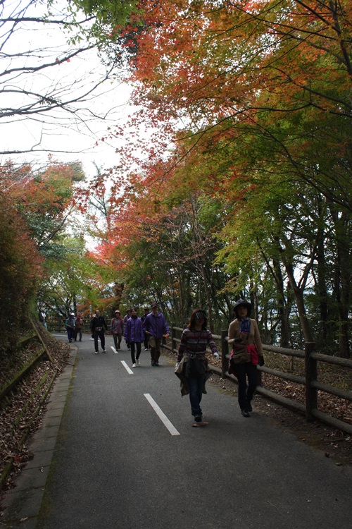 北山ダム湖