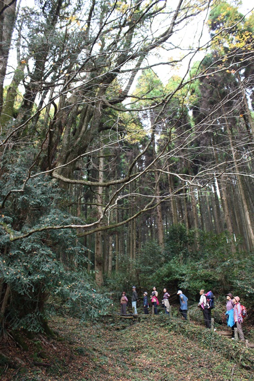 北山ダム湖