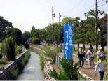 手取川七ヶ用水（石川県）