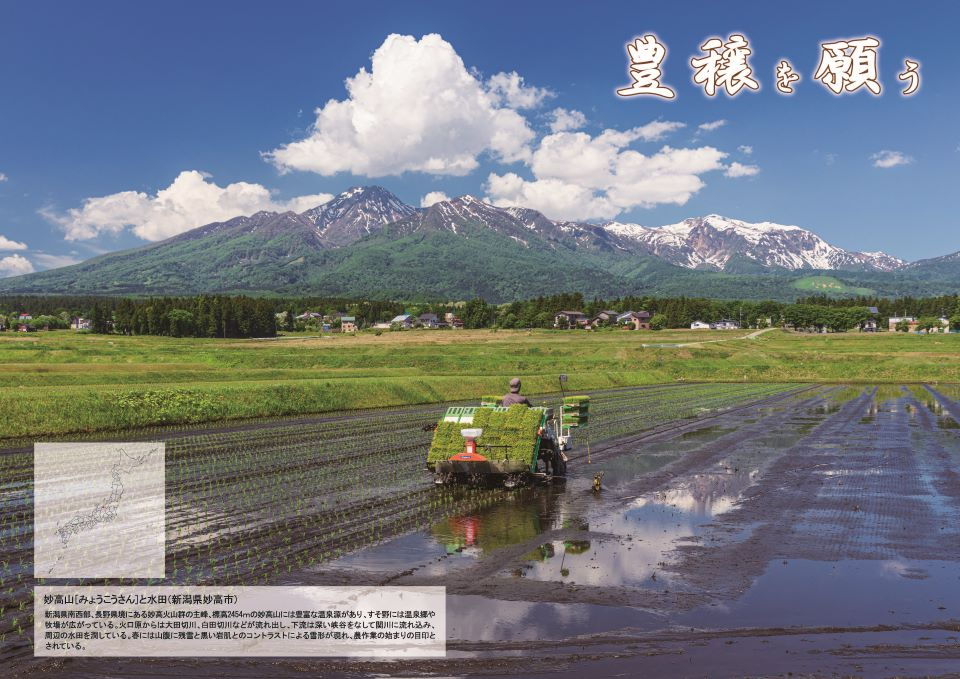 妙高山と水田(新潟県妙高市)