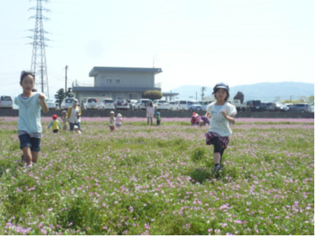 レンゲ祭り