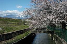 徳島堰