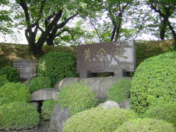 黄金堤