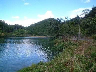 戊申溜池