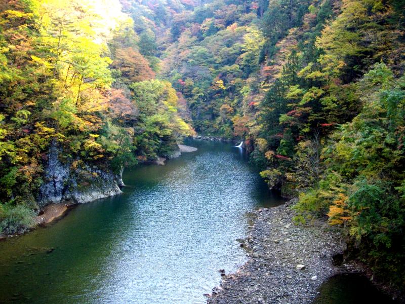田沢2