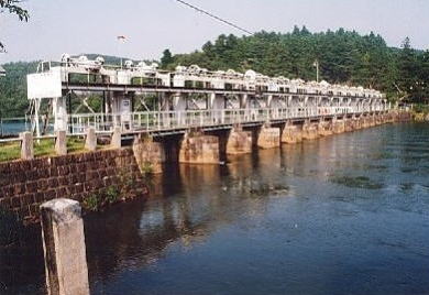 安積疏水2