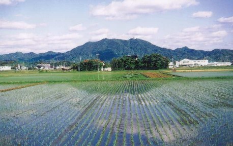 春の小川2