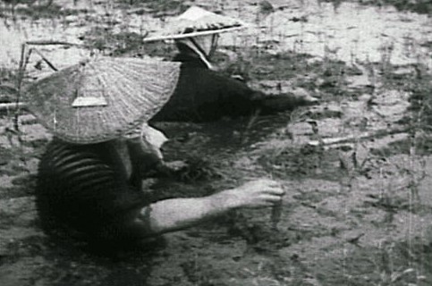 地図にない湖1