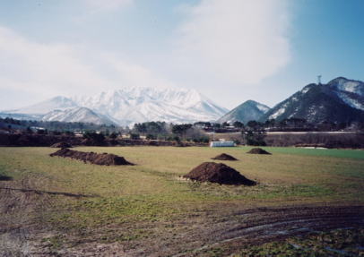 大山山麓香取の写真