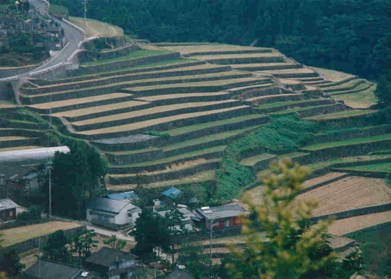 棚田 山水河 75㎝額 水墨風景画 里山風景 故郷 農村 北陸地方 日本の原風景 棚田 山水河 75額 水墨風景画 里山風景 故郷 農村 北陸地方 日本